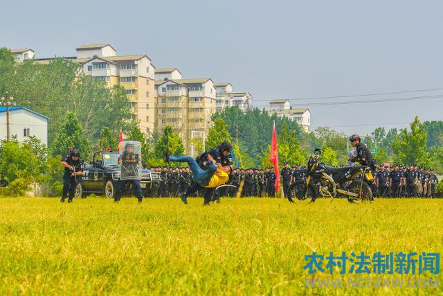 ���Ϲ�����Ѳ������Э����ͻ�����¼�Ӧ������������ڿ���ɹ��ٰ�