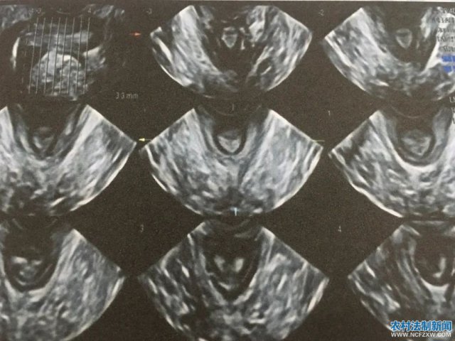 ��Ժ������Լ��������׼�ʵʱ��ά����ɸ������