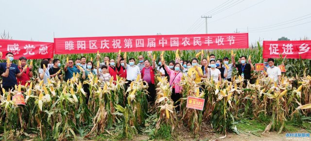 ����������������ٰ���Ľ��й�ũ����ս� ��������ϲ��