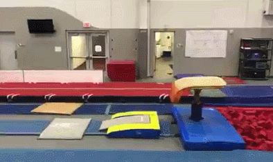 �ݶ�˹���ڻ����Լ���ѵ����Ƶ�������罻ý���ϡ�