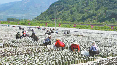 �ͺ�˳˳��С������һ��㡤��ʤС���ڻ���ݣ�